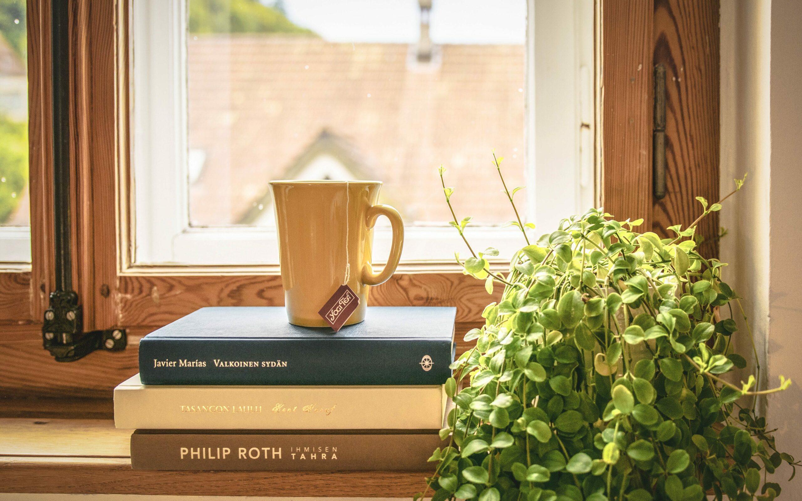 Veliko naravne svetlobe je ključne za popoln bralni kotiček - skodelica čaja na kupu treh knjig in lonček rož na okenski polici. 