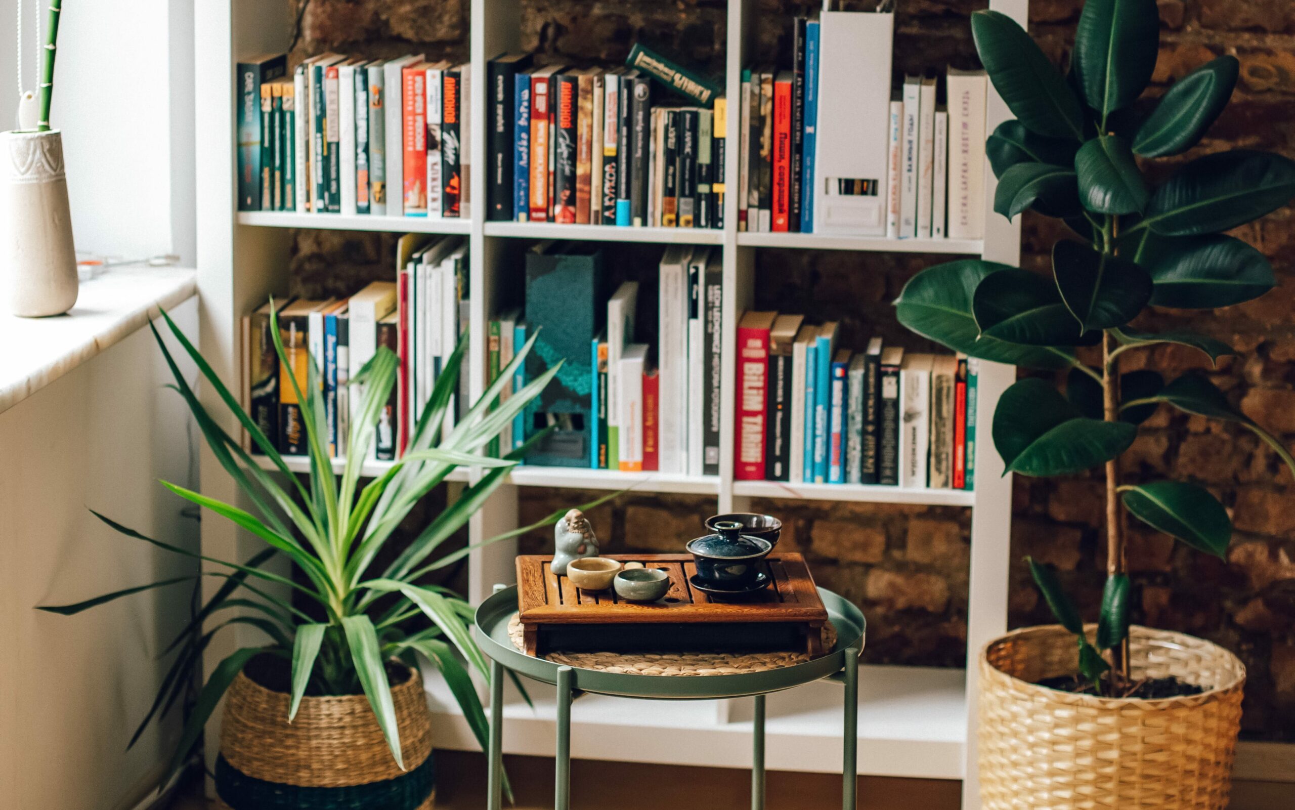 Sobne rastline, čajna mizica in police za shranjevanje knjig so vse lahko del popolnega bralnega kotička. 