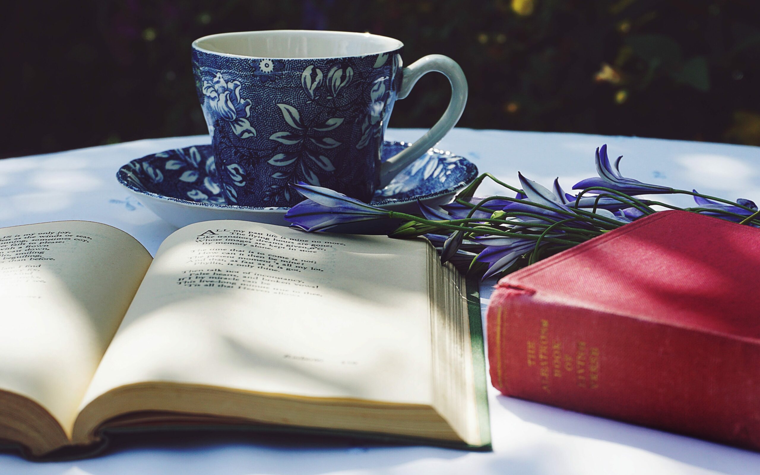 Popoln bralni kotiček na prostem, v senci drevesa, s knjigama, skodelico čaja in šopkom rož.